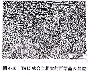 TA15鈦合金粗大的再結晶β晶粒
