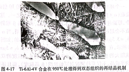 Ti-6Al-4V合金在950°C處理得到雙態組織的再結晶機制
