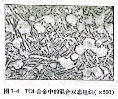 TC4合金中的混合雙態組織